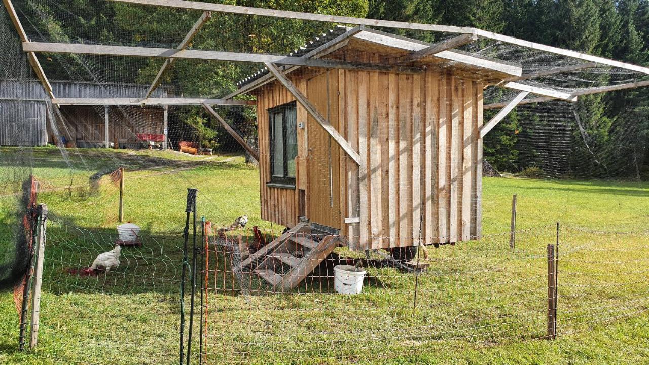 Arbesbach Ferienhaus Buxbaum מראה חיצוני תמונה